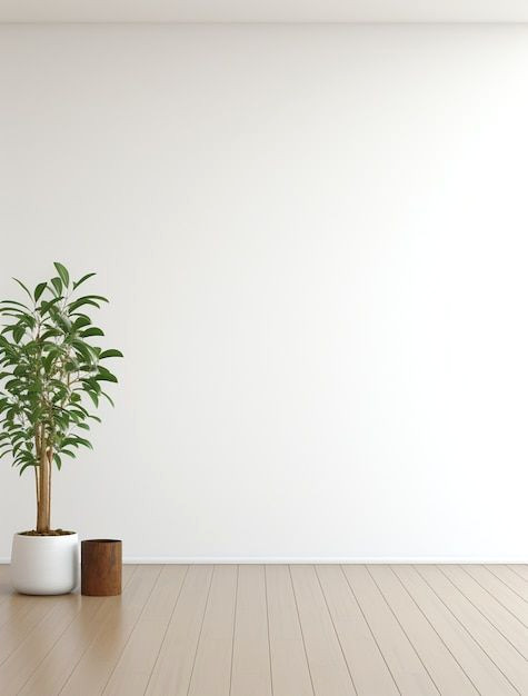 Simple White Walls, Stunning Greenery