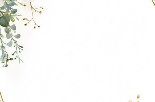 SOLD OUT: Get the Next Best Thing!