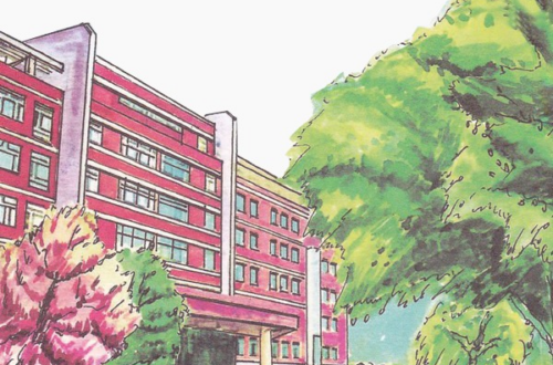 Vibrant School Buildings Cartoon: 100% Customizable PNG Images