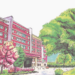 Vibrant School Buildings Cartoon: 100% Customizable PNG Images