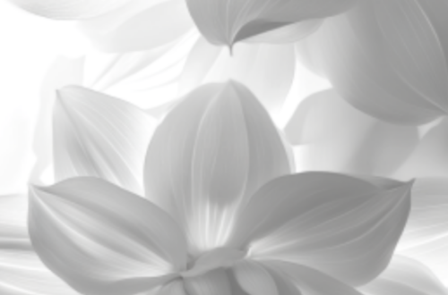 Elegant Black and White Floral Patterns