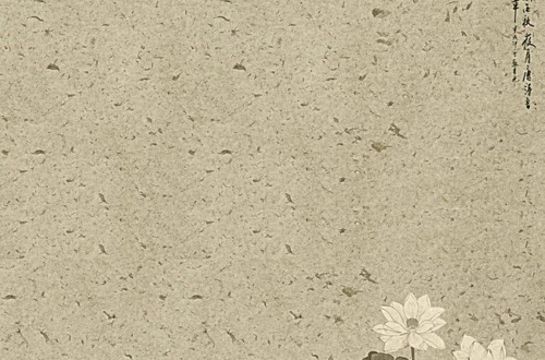 Customize Your Backgrounds with Proven Word Photo Tricks