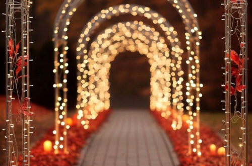 50 Surprising Obsessions to Steal the Spotlight