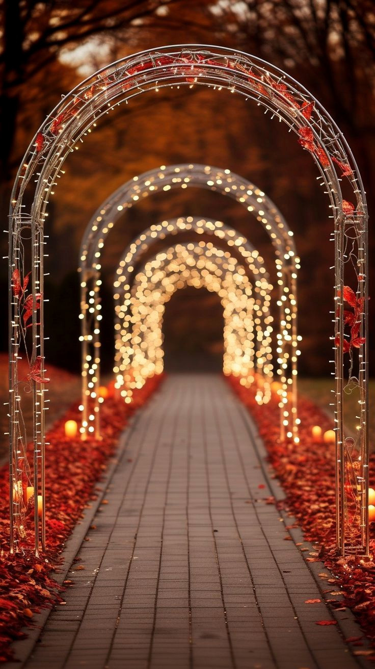 50 Surprising Obsessions to Steal the Spotlight