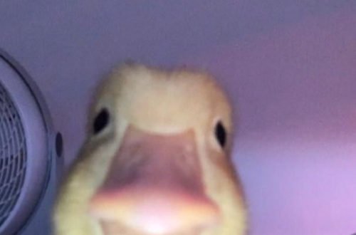 Stop, Think, Refresh: Your New Year’s Goals