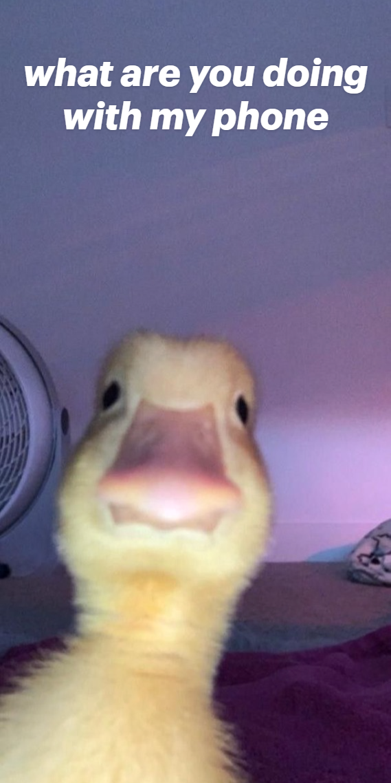 Stop, Think, Refresh: Your New Year’s Goals